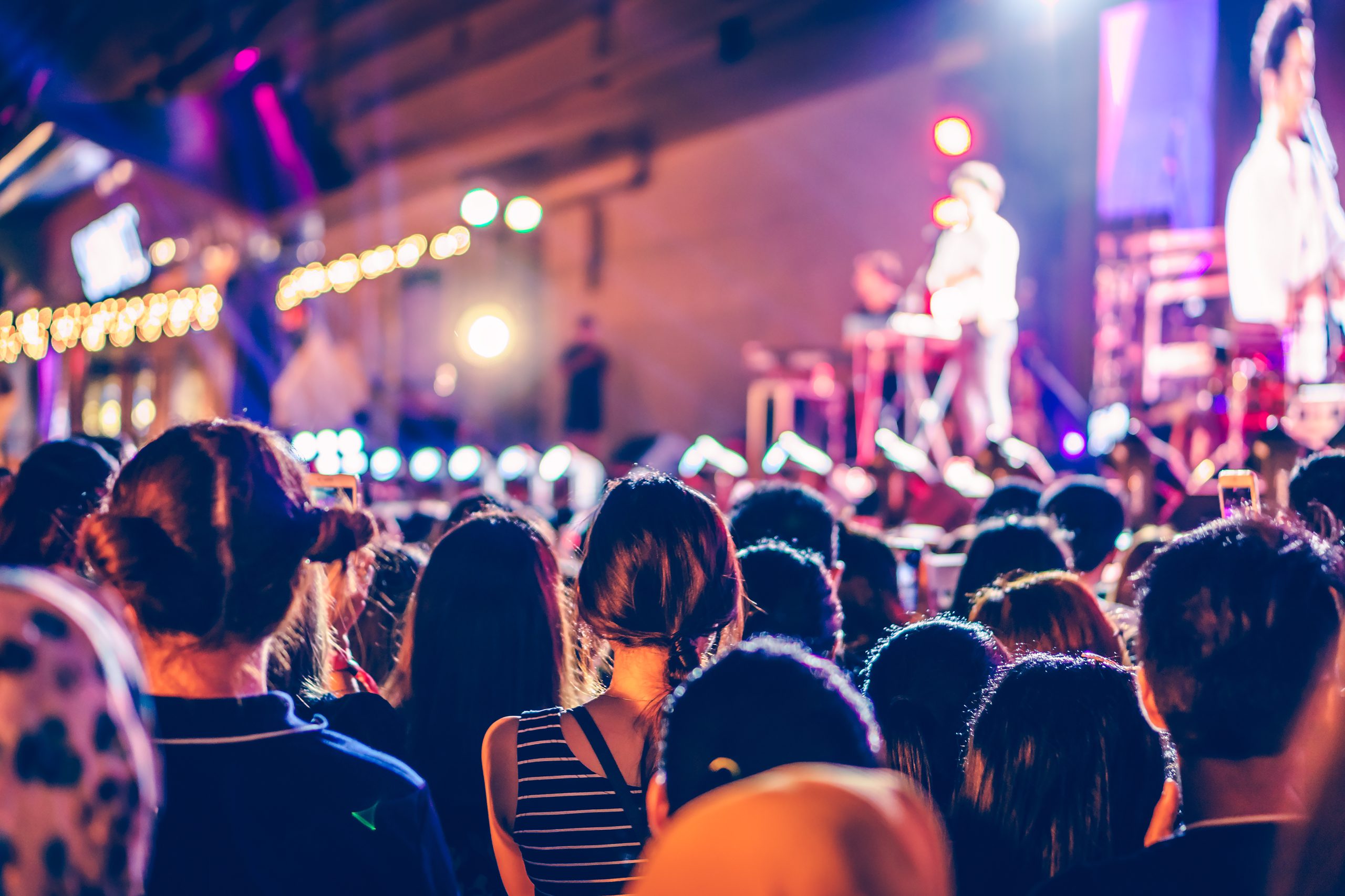 People at live concert. Crowd in front of stage at music festival.